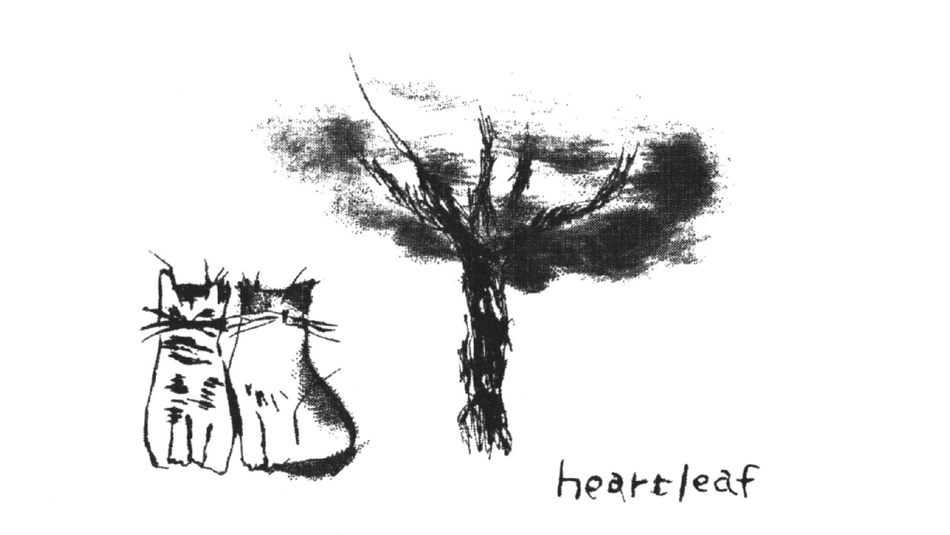 heartleaf